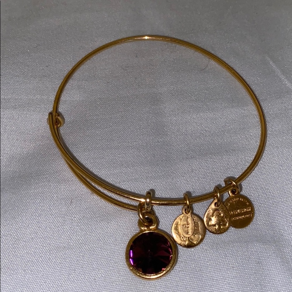 Alexi & Ani Bracelet (purple gem)
